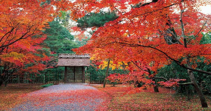 桂離宮 Katsura Imperial Villa 御所 離宮参観案内 公益財団法人菊葉文化協会